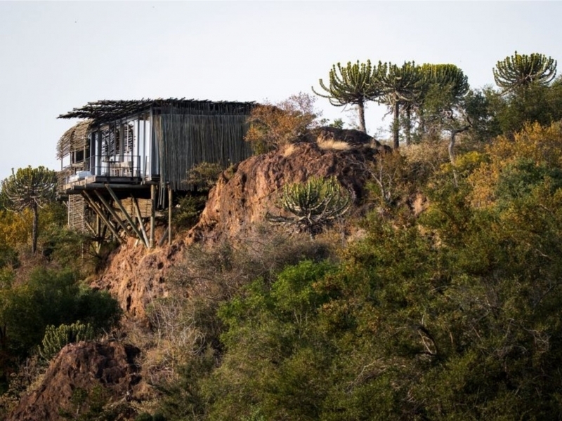 Lebombo Lodge Kruger 