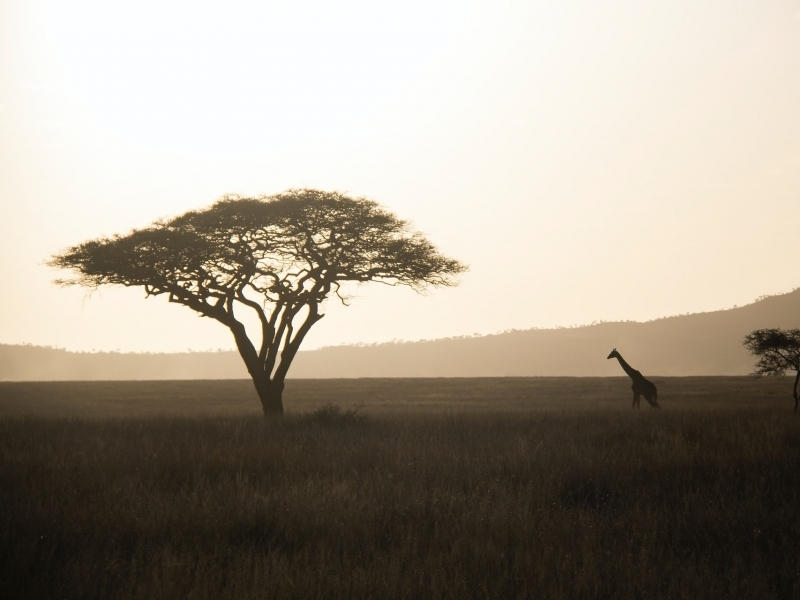 TANZANIA