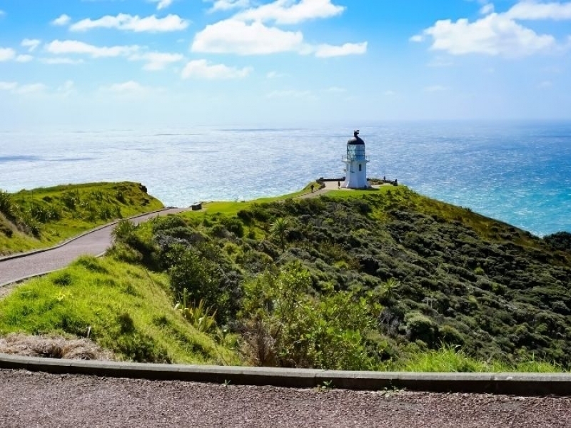 6 incredible road trips you must do in New Zealand