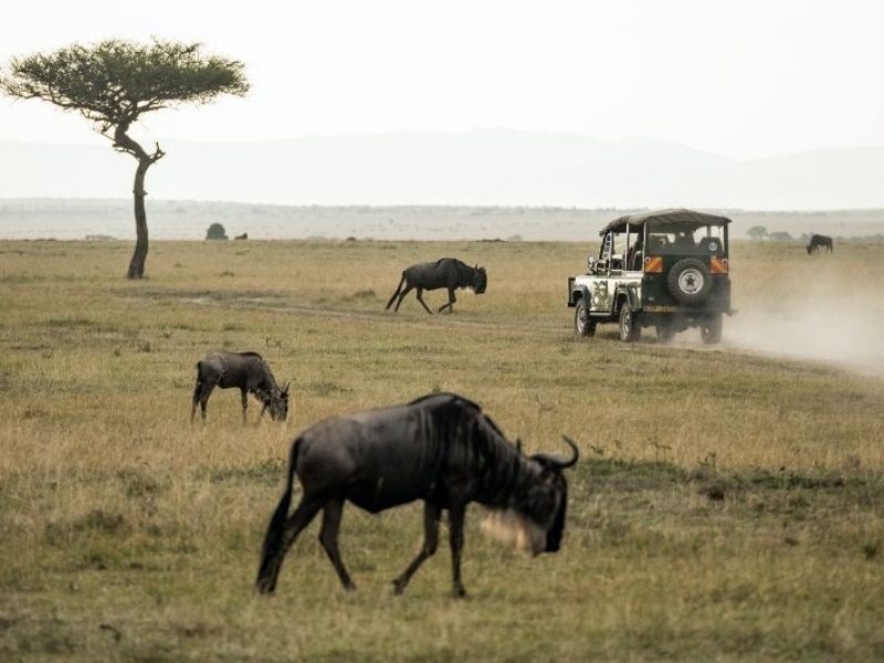 Experience the prolific wildlife of the best kept African secret - Botswana