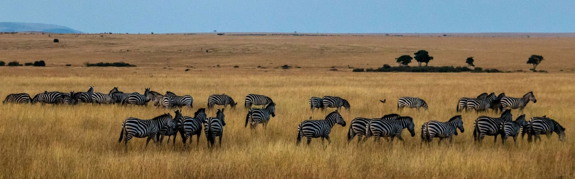 KENYA